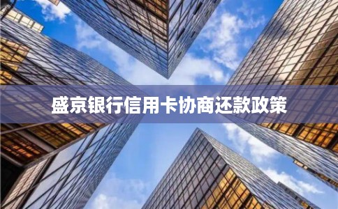 盛京银行信用卡协商还款政策
