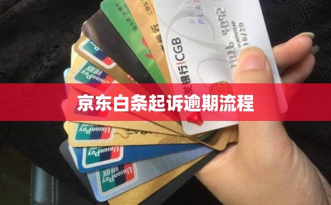 京东白条起诉逾期流程