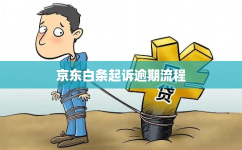 京东白条起诉逾期流程