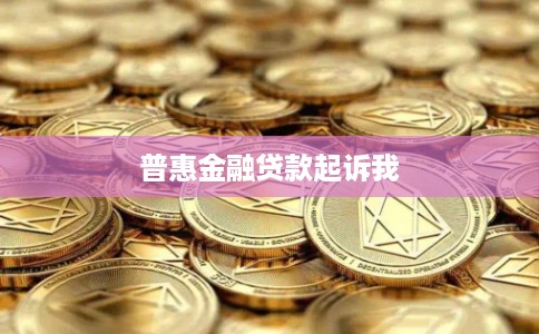 普惠金融贷款起诉我