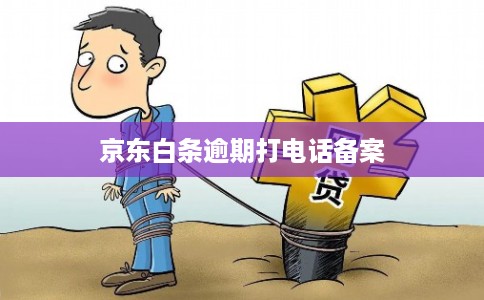 京东白条逾期打电话备案