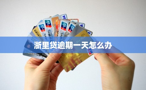 浙里贷逾期一天怎么办