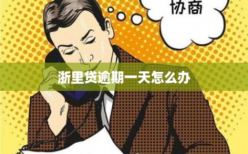 浙里贷逾期一天怎么办