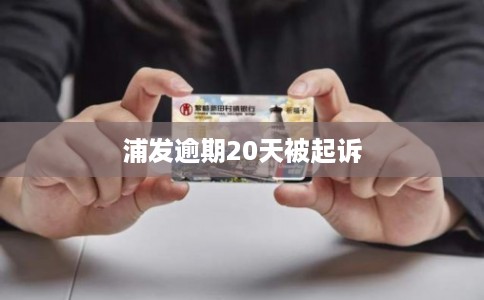 浦发逾期20天被起诉