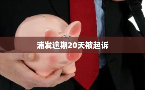 浦发逾期20天被起诉