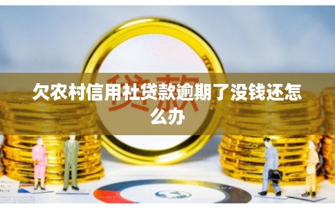 欠农村信用社贷款逾期了没钱还怎么办