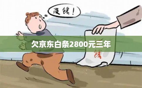 欠京东白条2800元三年