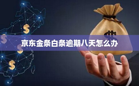 京东金条白条逾期八天怎么办