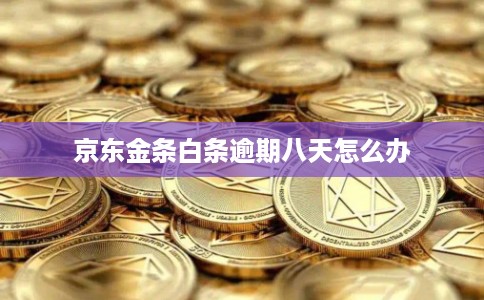京东金条白条逾期八天怎么办