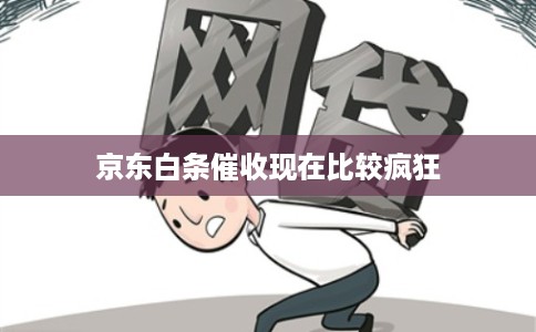 京东白条催收现在比较疯狂