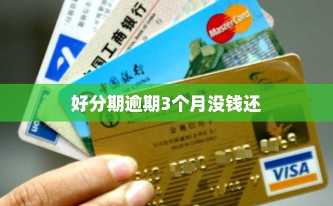 好分期逾期3个月没钱还