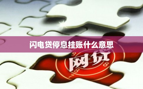 闪电贷停息挂账什么意思