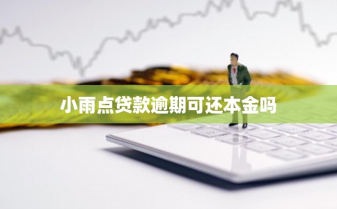 小雨点贷款逾期可还本金吗