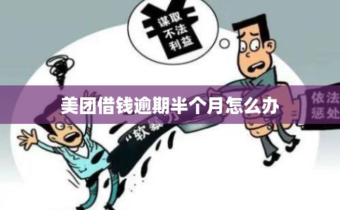 美团借钱逾期半个月怎么办