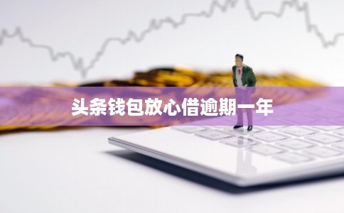 头条钱包放心借逾期一年