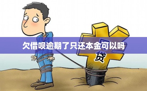 欠借呗逾期了只还本金可以吗