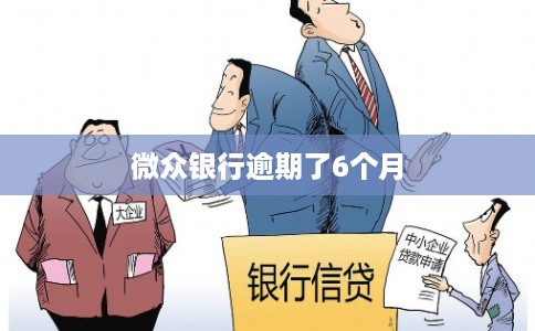 微众银行逾期了6个月