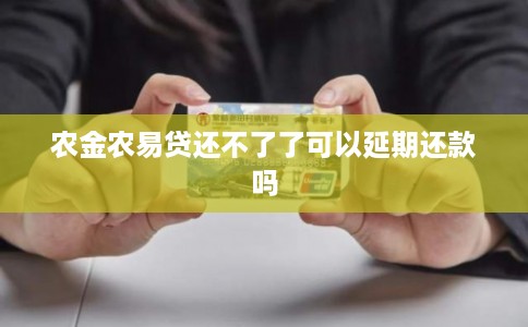 农金农易贷还不了了可以延期还款吗