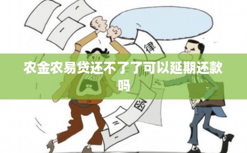 农金农易贷还不了了可以延期还款吗