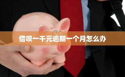 借呗一千元逾期一个月怎么办