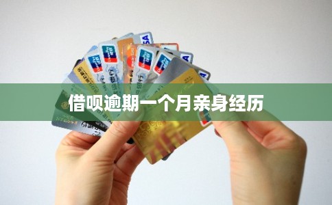 借呗逾期一个月亲身经历