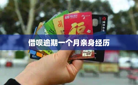 借呗逾期一个月亲身经历
