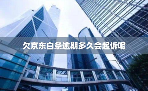 欠京东白条逾期多久会起诉呢