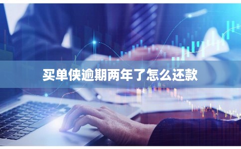 买单侠逾期两年了怎么还款