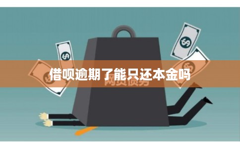 借呗逾期了能只还本金吗