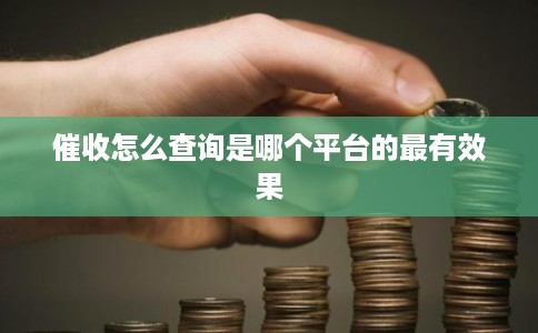 催收怎么查询是哪个平台的最有效果