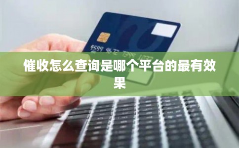 催收怎么查询是哪个平台的最有效果