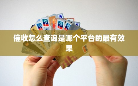 催收怎么查询是哪个平台的最有效果