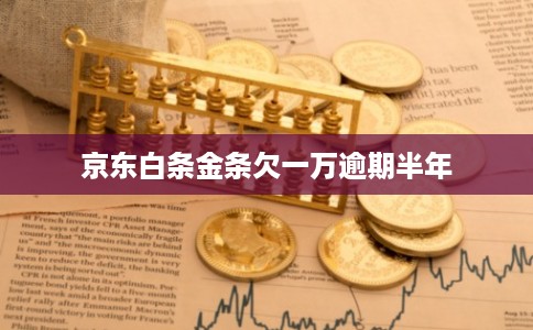 京东白条金条欠一万逾期半年