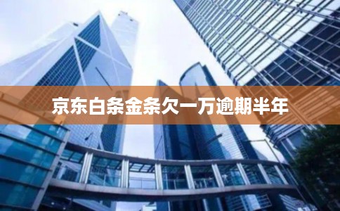 京东白条金条欠一万逾期半年