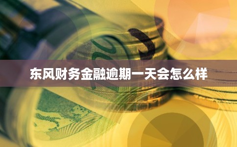 东风财务金融逾期一天会怎么样