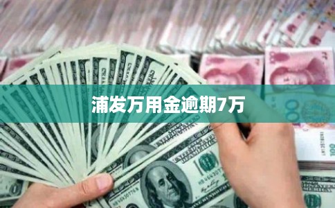浦发万用金逾期7万