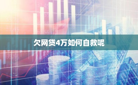 欠网贷4万如何自救呢