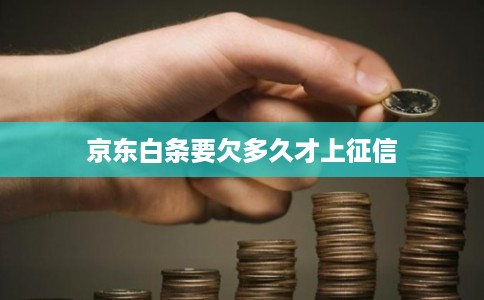 京东白条要欠多久才上征信