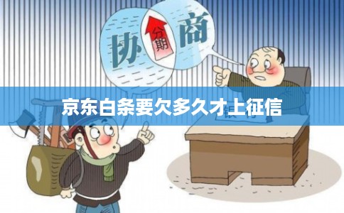 京东白条要欠多久才上征信