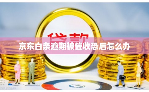 京东白条逾期被催收恐后怎么办