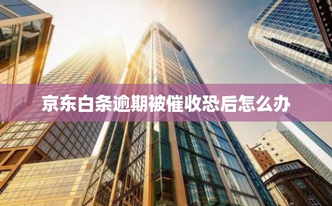 京东白条逾期被催收恐后怎么办