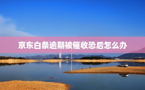 京东白条逾期被催收恐后怎么办
