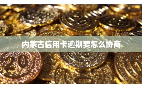 内蒙古信用卡逾期要怎么协商