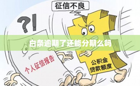 白条逾期了还能分期么吗