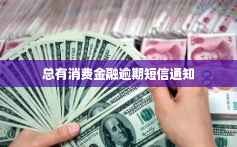 总有消费金融逾期短信通知