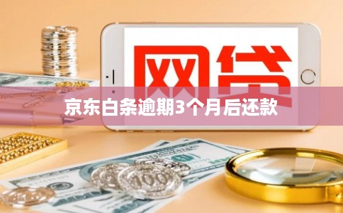 京东白条逾期3个月后还款