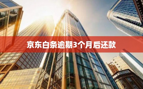 京东白条逾期3个月后还款