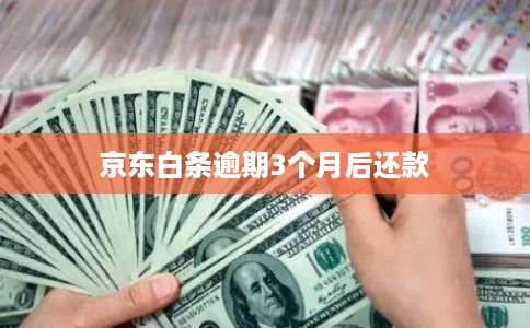 京东白条逾期3个月后还款