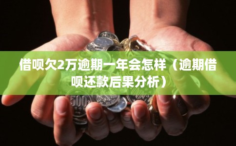 借呗欠2万逾期一年会怎样（逾期借呗还款后果分析）
