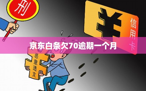 京东白条欠70逾期一个月